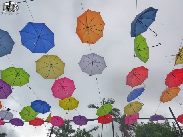 Sometimes You Need an&nbsp;Umbrella