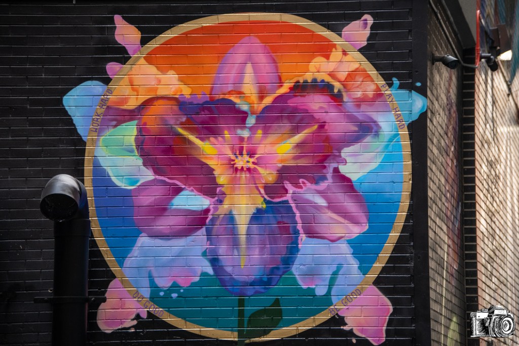 From the artist, "This mural of an imagined exotic lily depicted as a "wallflower" is a reminder that strength and beauty can be found in adversity."