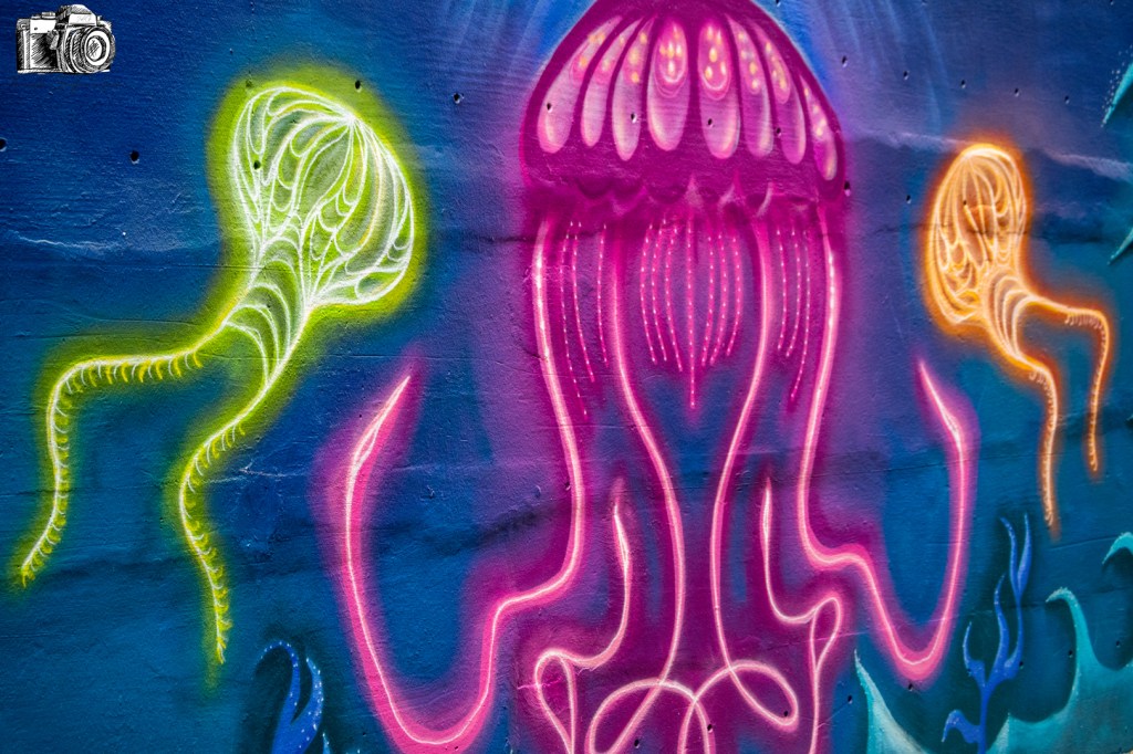 These jellyfish bring light to a dark space.