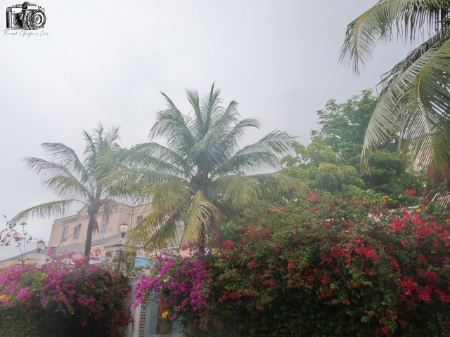 Walking Around Nassau