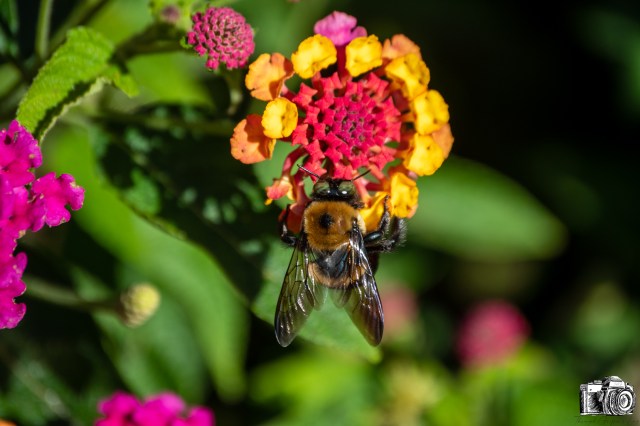 Know Where You Want to&nbsp;Go