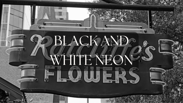 Black and White&nbsp;Neon