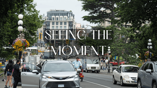 Seeing the Moment
