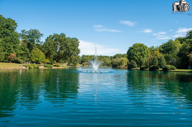 Serene park scene featuring a pond with a central fountain surrounded by lush green trees and blue sky.