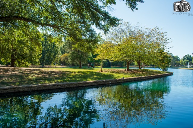 A serene park scene featuring a calm body of water reflecting trees and a grassy area under clear blue skies.