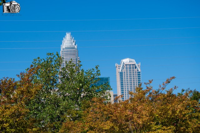 A view of two prominent skyscrapers partially obscured by colorful autumn trees against a clear blue sky.