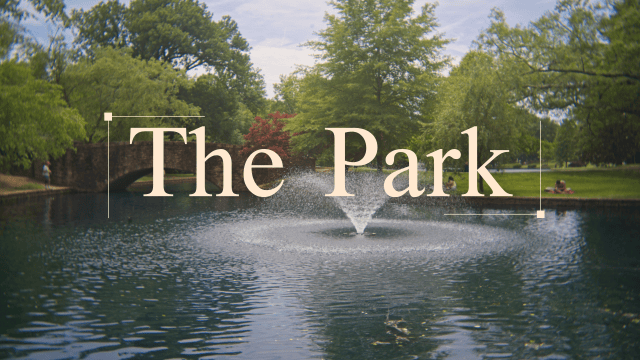 The Park and My&nbsp;Camera
